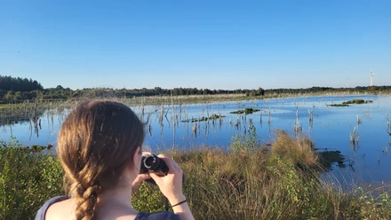 Naturbeobachtung im Naturschutzgebiet Theikenmeer, Aussichtsplattform Wehmer Dose, Werlte ©Naturpark Hümmling.jpg Person beobachtet mit Fernglas die Moorlandschaft des Theikenmeers unter klarem blauem Himmel.