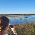 Naturbeobachtung im Naturschutzgebiet Theikenmeer, Aussichtsplattform Wehmer Dose, Werlte ©Naturpark Hümmling.jpg Person beobachtet mit Fernglas die Moorlandschaft des Theikenmeers unter klarem blauem Himmel.