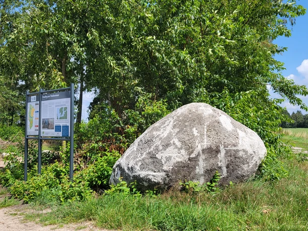 Findling am Theikenmeer, Werlte ©Naturpark Hümmling (1).jpg Großer Findling neben Infotafel am Wegesrand, umgeben von grünen Büschen und freiem Feld.
