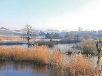 Aktivitaeten-Naturgebiete-Ostergau-Willisau-Priska Ziswiler-Eigengebrauch-1.jpg Weiherlandschaft Ostergau im Winter