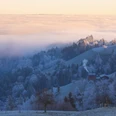 Naturgebiete-Menzberg-Twerenegg-Willisau-Nebel-Priska Ziswiler-EN-1.jpg Menzberg im Winter
