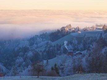 Naturgebiete-Menzberg-Twerenegg-Willisau-Nebel-Priska Ziswiler-EN-1.jpg Menzberg im Winter