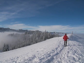 Winter-Menzberg-Oberlehn-Schneeschuhlaufen-Willisau-Martin Mueller-WT-6.jpg Menzberg im Winter