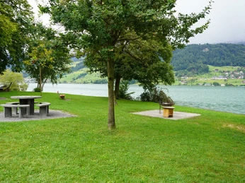 Feuerstelle Steinibach-Delta Sachseln