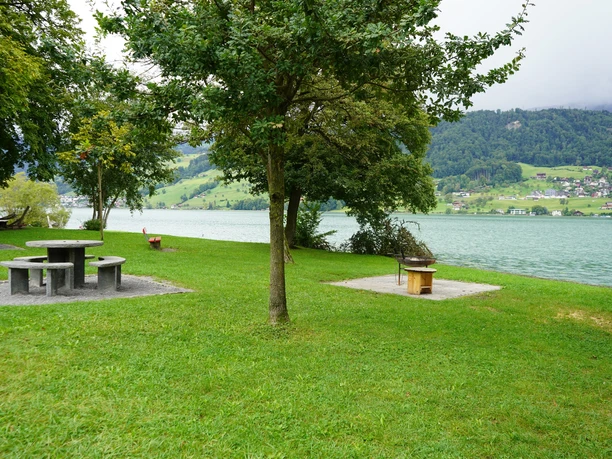 Feuerstelle Steinibach-Delta Sachseln