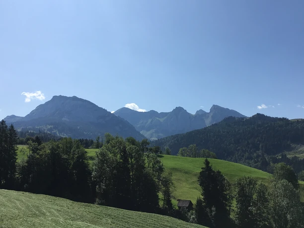 Blick in die Wägitalerberge