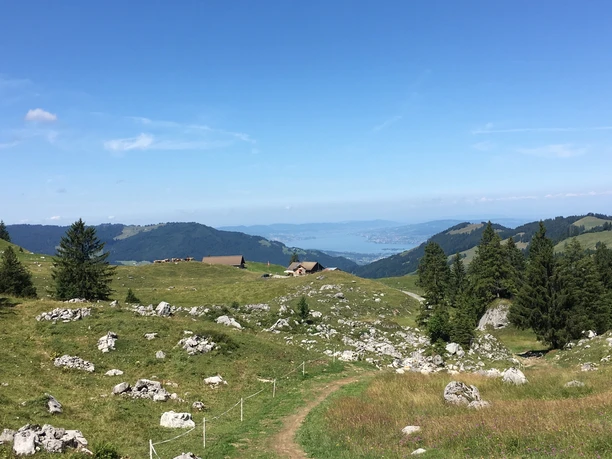 Panorama unterhalb Rossweidhöchi Richtung Zürichsee