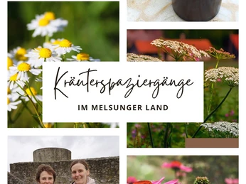 Kräuterspaziergänge im Melsunger Land