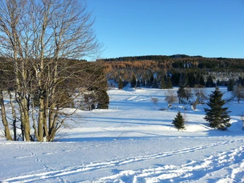 Blick auf den ehemaligen Ort Königsmühle