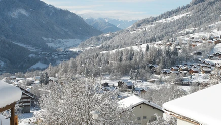 Winterwanderung Fiesch - Fieschertal und zurück