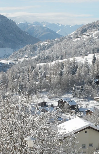 Winterwanderung Fiesch - Fieschertal und zurück