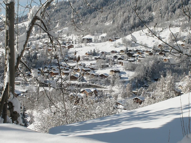 Winterwanderung Fiesch - Fieschertal und zurück