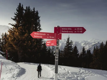 Winterwanderung (Herrenweg) Fiescheralp zur Riederalp