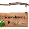 Logo Bergspitz Logo Bergspitz