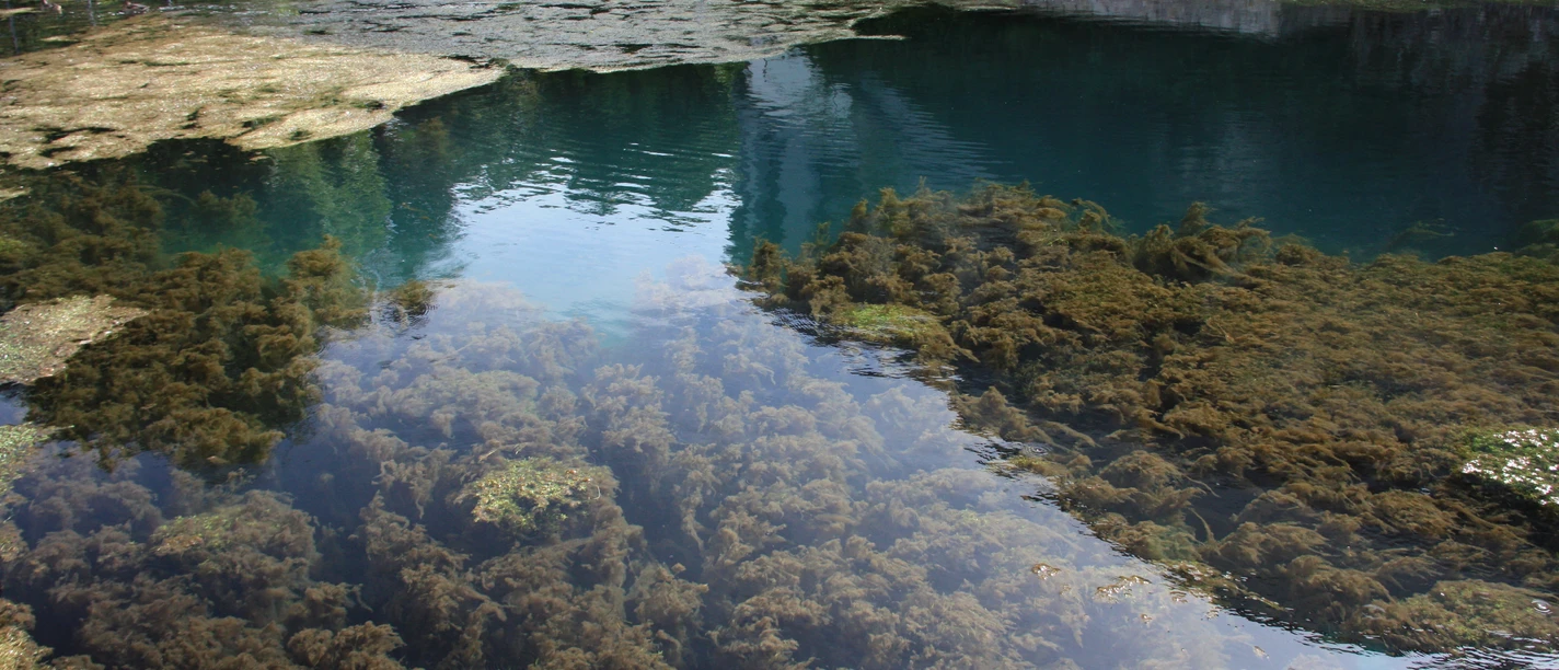 Odins Auge Bad Lippspringe