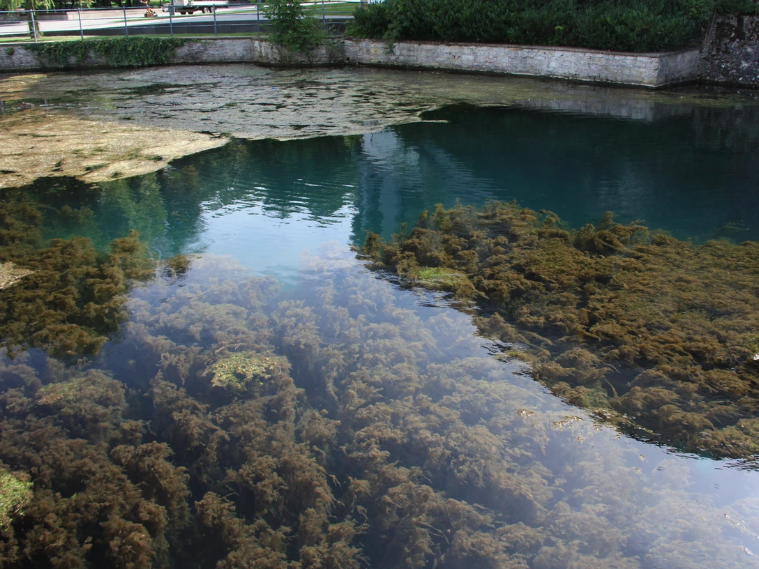 Odins Auge Bad Lippspringe Odins Auge Bad Lippspringe