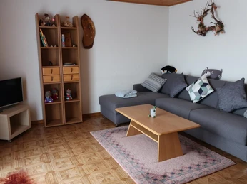 heimeliges Wohnzimmer mit TV