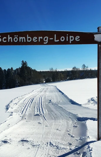 Loßburg Schömbergspur - Start