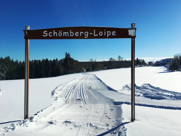 Loßburg Schömbergspur - Start