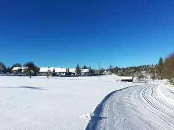 Langlaufspur 1 - Schömbergspur