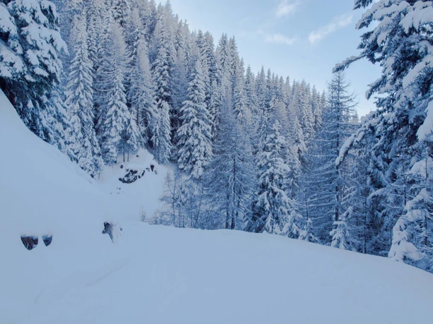 Schlitteln Rosswald