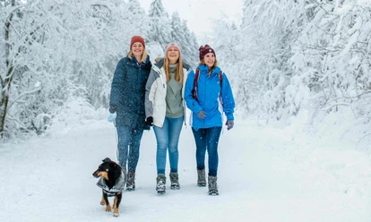 Winterwandern mit Hund in Hahnenklee