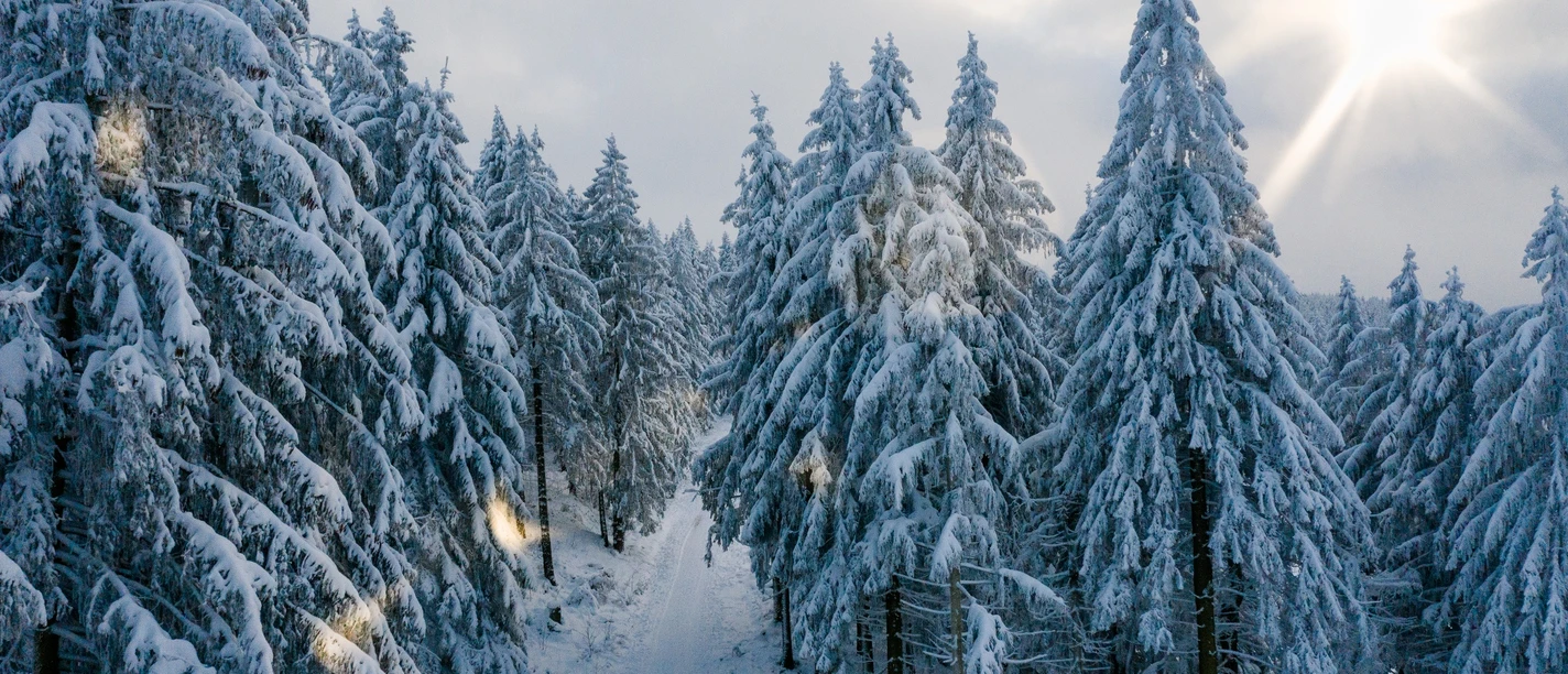 Winter in Hahnenklee