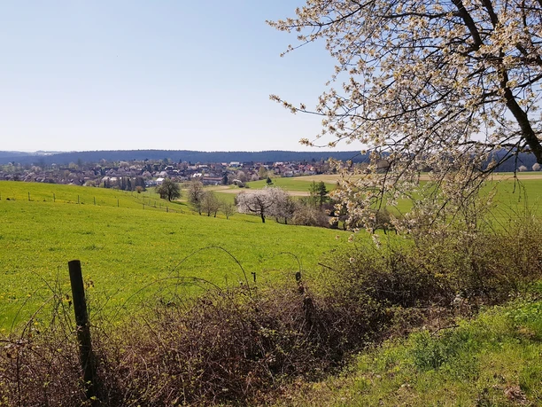 Blick auf Dietersweiler