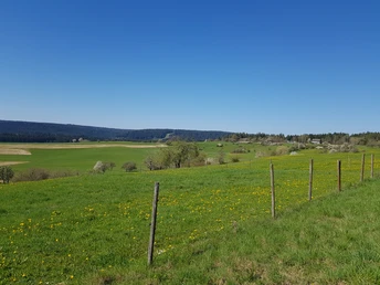 Blick Richtung Lauterbad