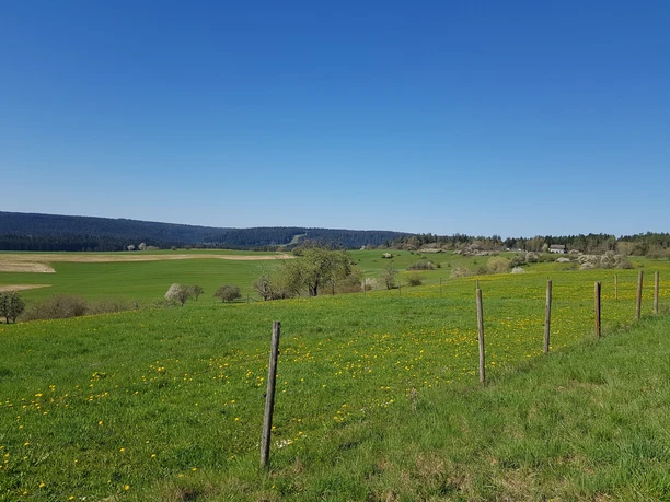 Blick Richtung Lauterbad