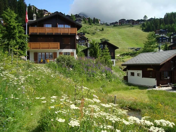 Ansicht v. Süden mit Biotop