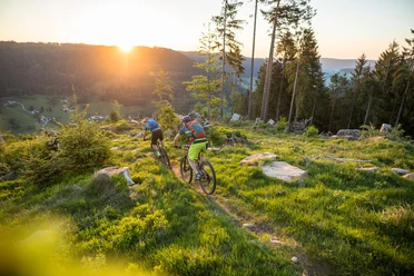 Baiersbronn Trails