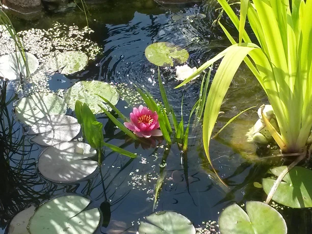 20160622_162024 20160622_162024