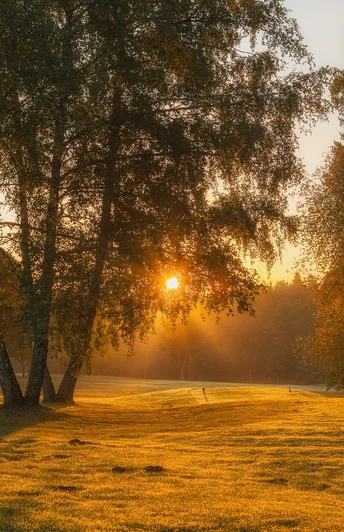 Golfplatz Freudenstadt im Gegenlicht
