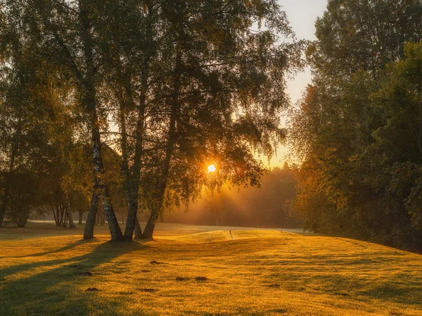 Golfplatz Freudenstadt im Gegenlicht