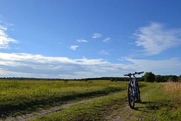 Fahrrad am Feldweg.jpg