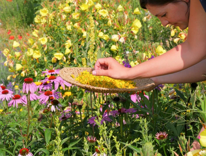 Brunnmatthof Kraeuterkurse Willisau EG (3).jpg