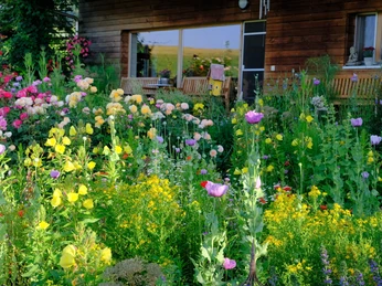 Brunnmatthof Kraeuterkurse Willisau EG (4).jpg