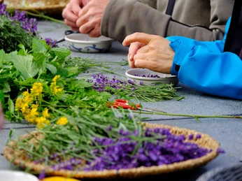 Brunnmatthof Kraeuterkurse Willisau EG (9).jpg