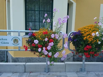 2019-07 Blumenkästen