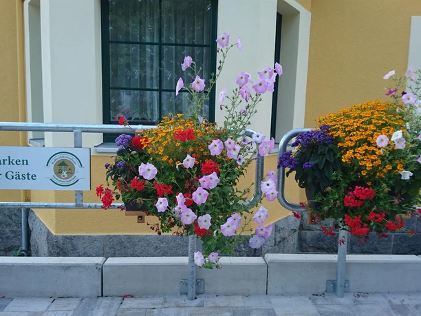 2019-07 Blumenkästen