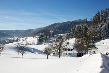 Blick auf Obertal