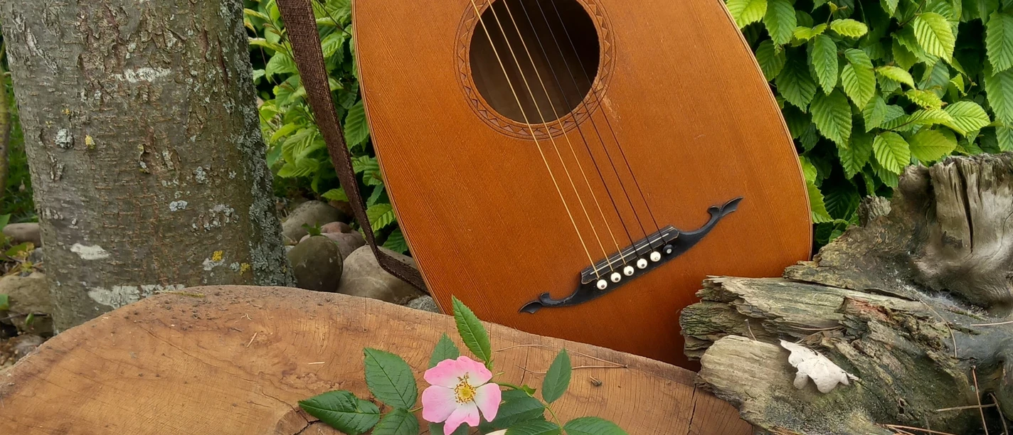 Waldlesung_quadratisch