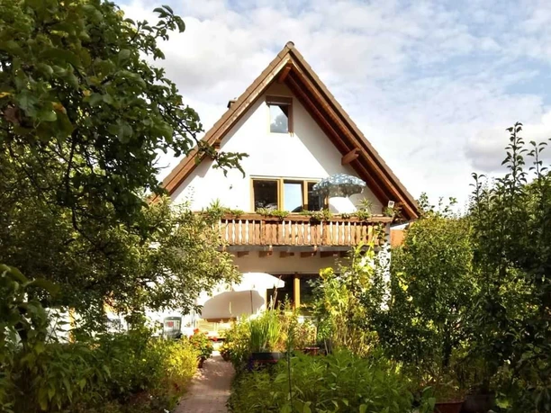 Blick zum Garten mit Sonne ab Nachmittag