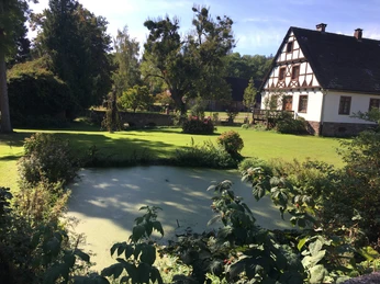 Gartenanlage mit Teich und Haus der Gutsanlage Maygadessen