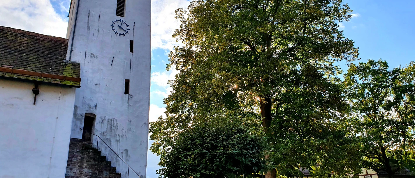 Godelheimer Kirche St.Johannes Baptist.jpg Weiße Kirche und Baum am rechten Bildrand