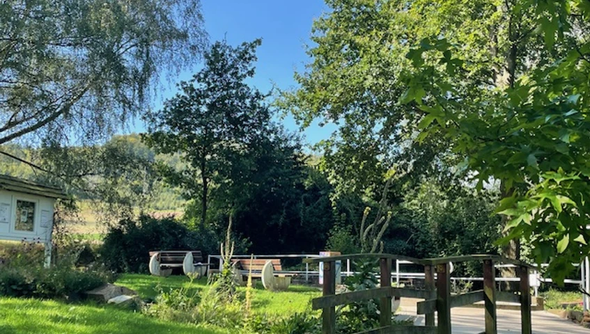 Godelheim-Tretbeckenanlage_schattiges Plätzchen.jpg Grünanlage mit kleiner Brücke