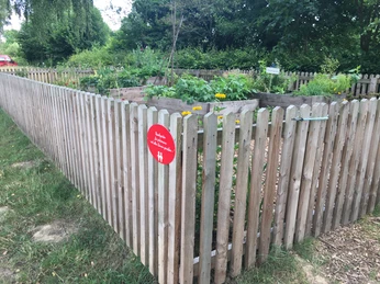Godelheim-Tretbeckenanlage_z-Naschgarten-.JPG Hochbeete mit Holzumzäunung