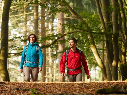 Tinner Loh bei Haren (Ems) – Wanderer unterwegs im Wald ©Naturpark Hümmling (238).jpg Zwei Wandernde spazieren mit Rucksäcken durch einen sonnendurchfluteten Laubwald im Tinner Loh.