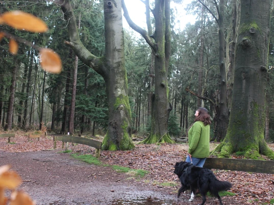 Tinner Loh ©Karin Müller (1).JPG